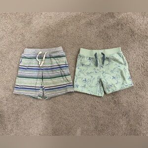 Boys Gymboree Stripe/Rex Dinosaur Shorts Size 4t